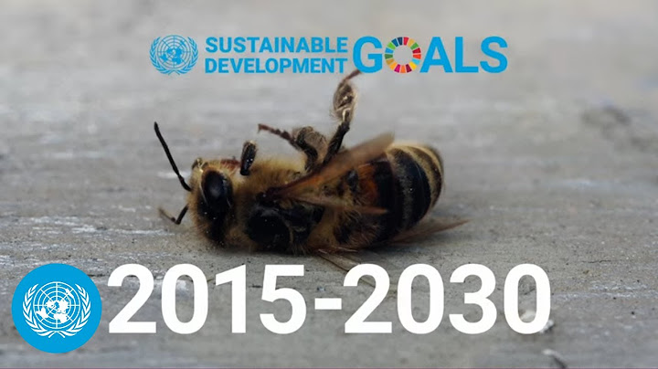 United nations 2030 agenda for sustainable development