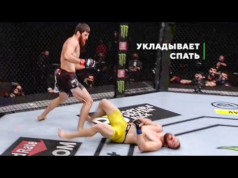 Дагестанский Нокаутер! Магомед Анкалаев  Чемпионский Потенциал в UFC