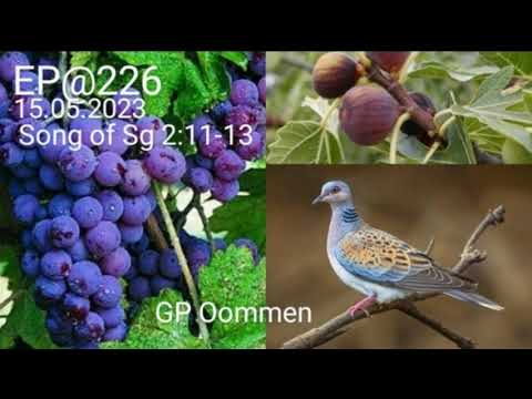 Song of songs 211 13 Episode 226 New Beginning  Blessed Optimism in Lord Jesus Christ