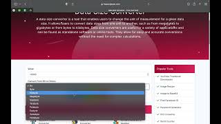 Data Size Conversion: A Comprehensive Guide screenshot 2