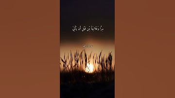 حالات واتس قرآن كريم |محمد صديق المنشاوي(قُل لِّعِبَادِيَ الَّذِينَ آمَنُوا يُقِيمُوا الصَّلَاةَ)