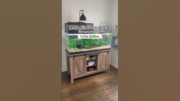 TURTLE TANKS ARE EXPENSIVE $$$ #petturtle #turtletank #redearedslider