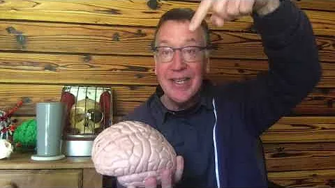 Columnar organization of V1