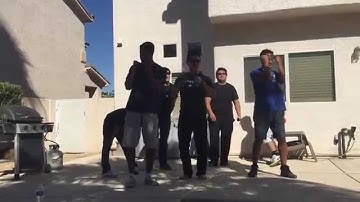 LAMBDA PHI EPSILON SERENADE | Social 2015