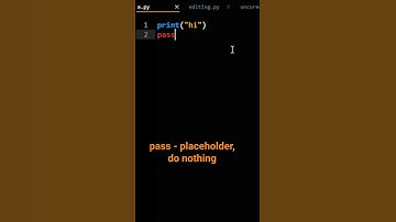 Python pass vs return