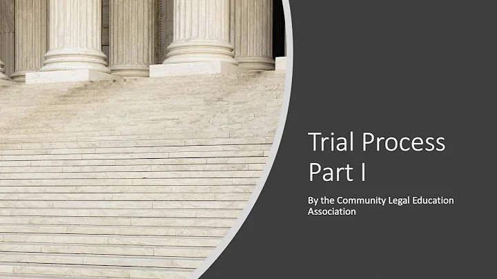 The Criminal Trial Process (Part 1)