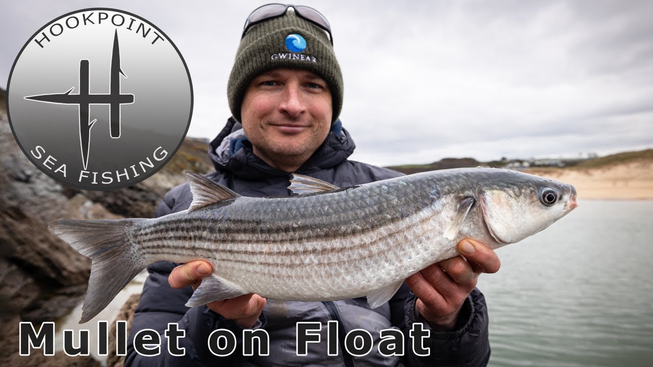 How to Catch Big Mullet on the Float - A Complete Guide to Float Fishing  for Thick Lipped Mullet 