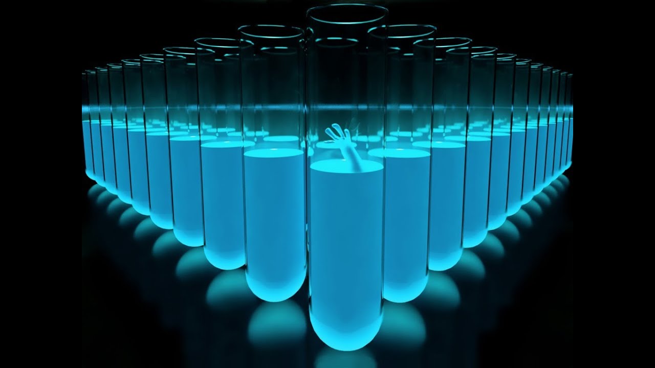 ВЕШЕНКА, производство мицелия, посев палочек в пробирки - YouTube