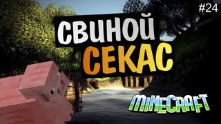 Minecraft на позитиве - Учим задабривать свиней! #24 Alex и BrainDit