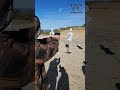 Simple Draw #california #veteranowned #selfdefense #concealcarry #training #veteranownedbusiness