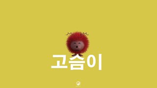 [사랑스럽고 귀여운음악] 고슴이 | 부드러운 뾰족함