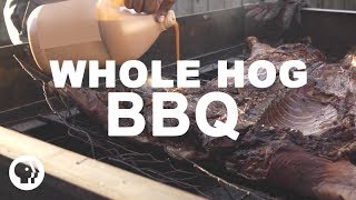 Whole Hog BBQ  South Carolina Style