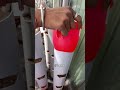vertical vegetable garden set up and y