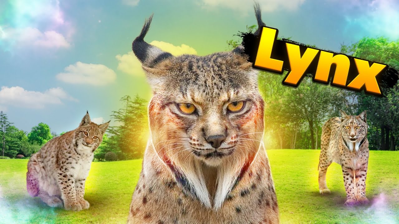 "Cutest Wild Cats You'll Ever See!" 