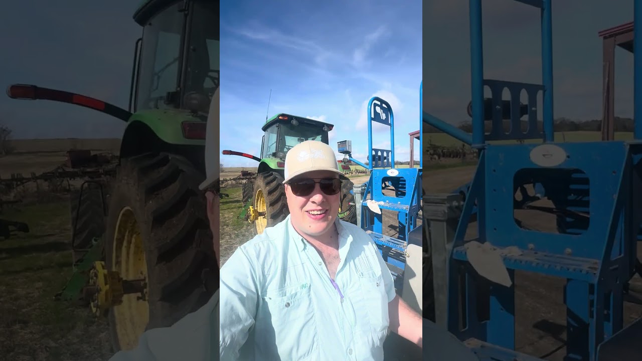 Тюки какого размера вы используете для кормления?