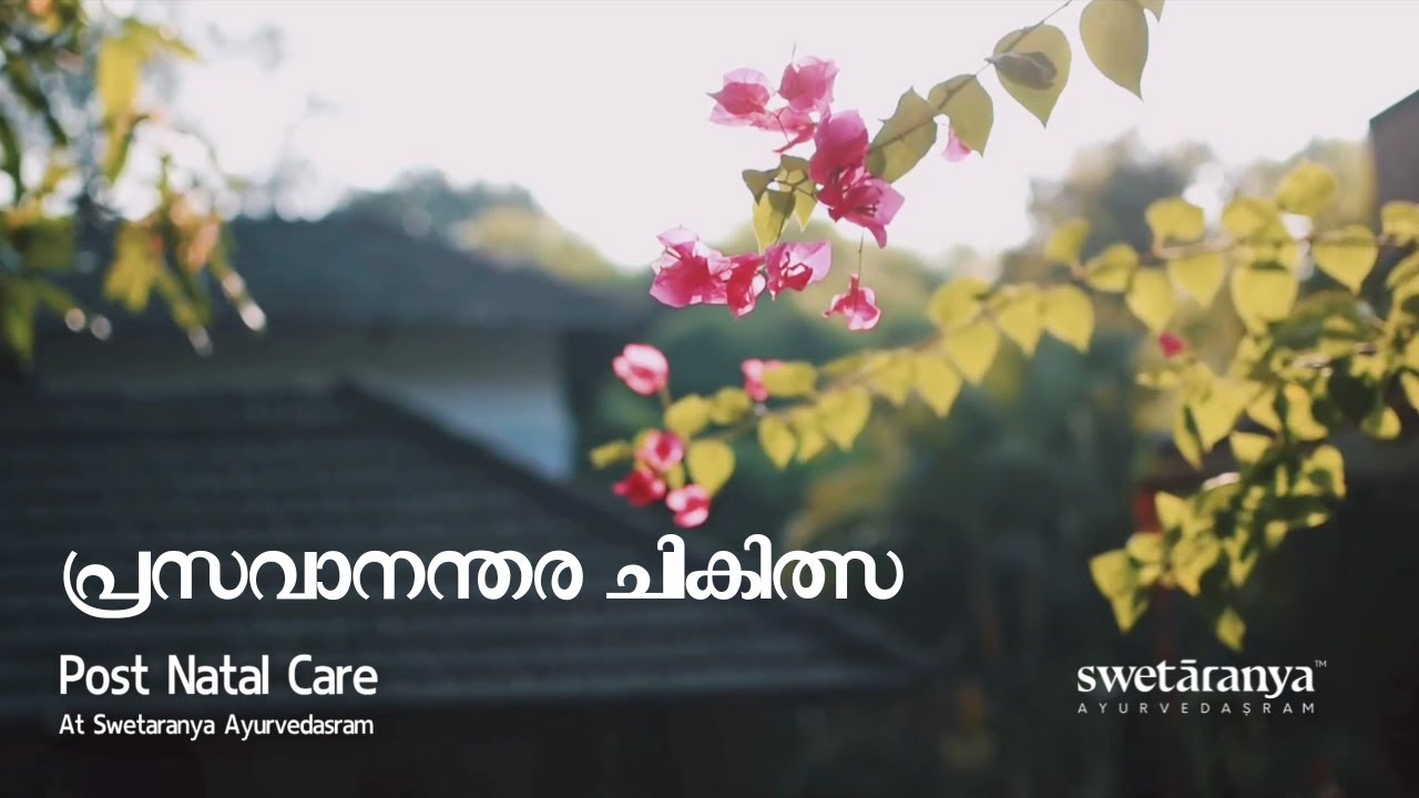 Post Natal Care Treatment Ayurveda Post Partum Swetaranya