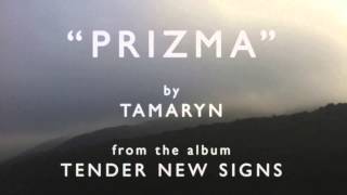 Tamaryn - Prizma chords