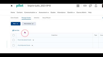 Creating Electronic Gradebook in D2L Brightspace