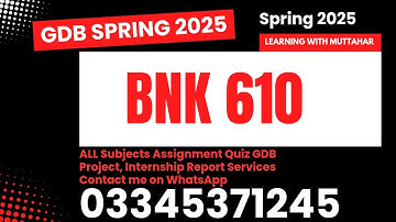 Bnk610 GDb solution spring 2025