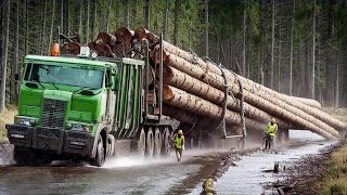 Dangerous Biggest Idiots Logging Wood Truck Operator | Heavy Equipment Truck Disaster Fails At Work.