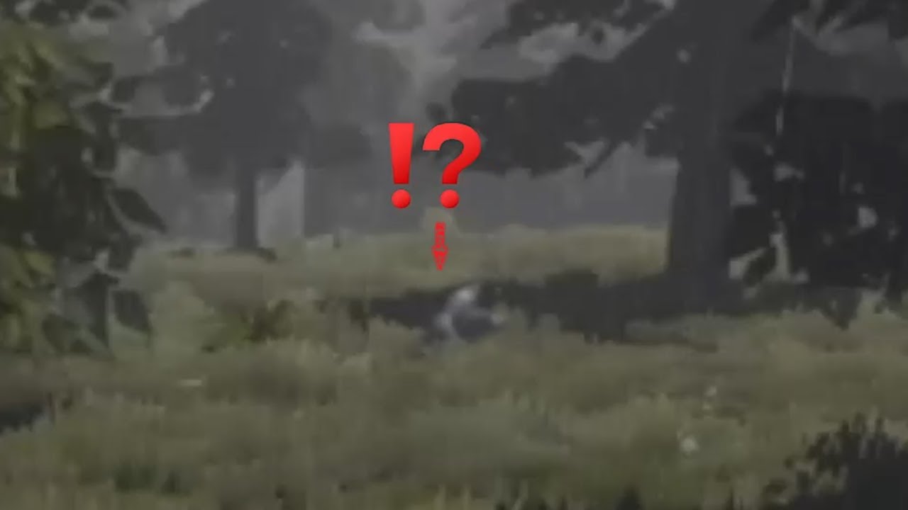 Getting My Stuff Back and the Weirdest Mating Ritual I've Ever Seen?! - Surroundead Part 2