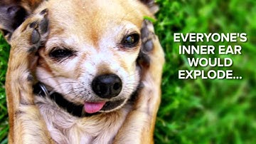 What Would Happen If The World Lost Oxygen For 5 Seconds?