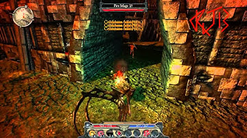 Divinity II: Developer