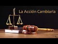 Títulos Valores - 
La Acción Cambiaria