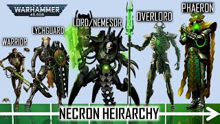Necron Hierarchy & Power Structure - From Warrior to Phaeron- Explained (Warhammer 40K)
