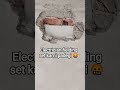 Electrician fielding set he #AfnanFixesAndFails #ElectricianLife #SiteLife #RealWork #RepairShots