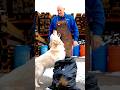 Loyalty that brings shame to a person, and an ending that brings millions to tears #SmartDog