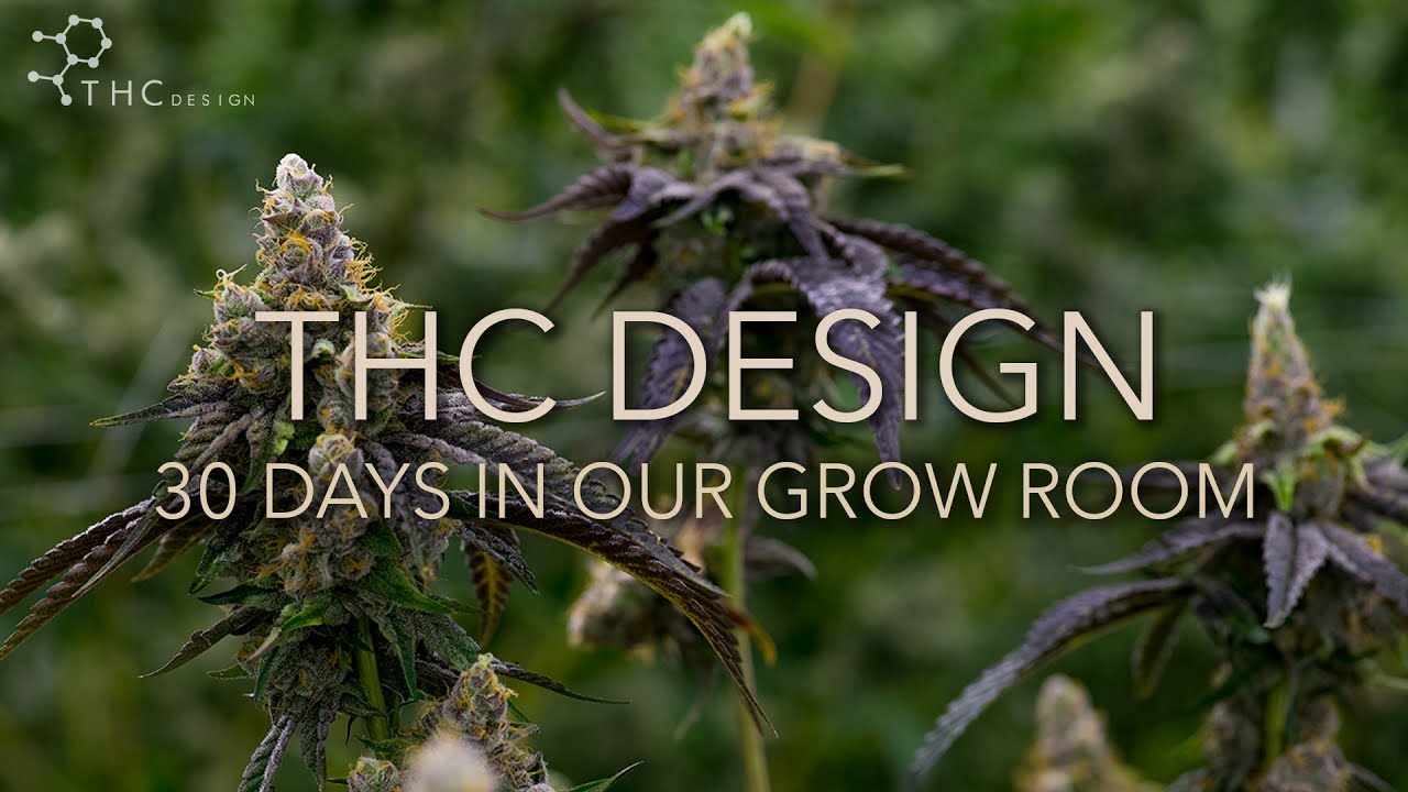 One Month in our Grow Room