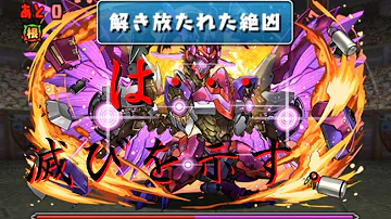 ナインガルダ チャレモ