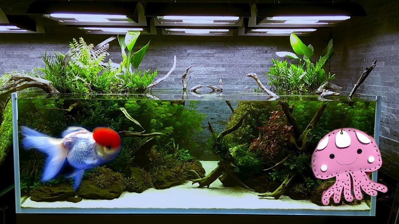 JEPANG, TOKYO: Ikan di Ueno Park & Sumida Aquarium