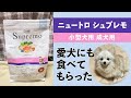 【ニュートロ シュプレモ】成犬用ドッグフードを愛犬にも食べてもらいました！