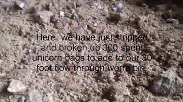 How we recycle our spent mushroom blocks.