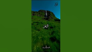 راحة و طمأنينة القارئ محمد معن دياب #قرآن #نفحات_شبان