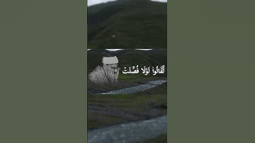 الشيخ محمد صديق المنشاوي رحمه الله سورة فصلت | #quran #المنشاوي
