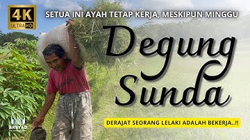 THIS OLD, FATHER STILL WORKS - SUNDANESE DEGUNG AYAN UMBING