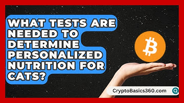 What Tests Are Needed to Determine Personalized Nutrition for Cats? | Happy Cat Handbook