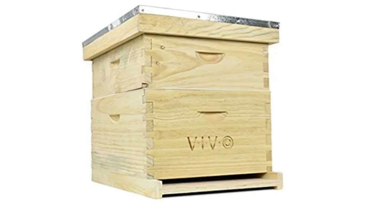 Best Bee Hive Boxes in 2022. YouTube