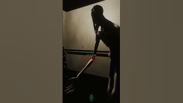 The Adventures of The Elevator Operator (SCP Secret Laboratory) | Don