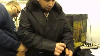 Мужская куртка с меховым воротником(http://vetrovka.ru/ Оптовый интернет магазин зимней верхней одежды 