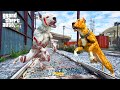 BİR EFSANENİN SONU! PİTBULL BOYKANIN İŞİ BİTTİ! - GTA 5 PİTBULLUN HAYATI