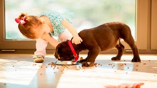 Dogs playing with Babies #17