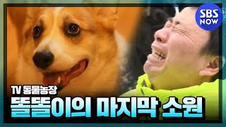 [동물농장]  강원래&김송 부부와 똘똘이의 마지막 소원 /  'Animal farm' Review