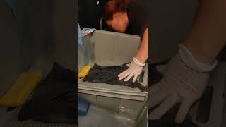 Tepeyac And Dawn Platinum Dish Soap