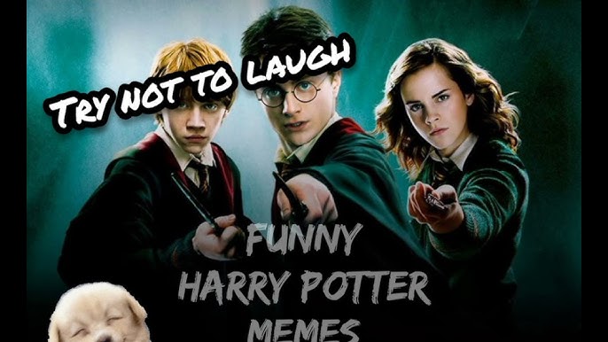 HARRY POTTER CLEAN MEMES PART-1 