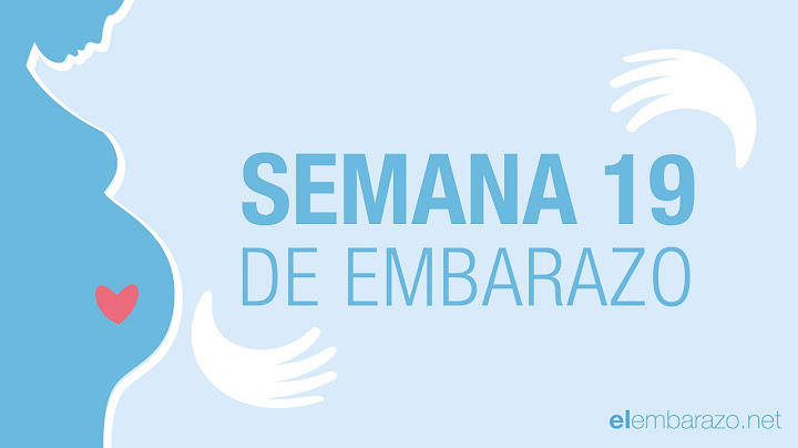 Semana 19 de embarazo | 19 semanas de embarazo | El embarazo semana a semana