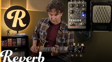 Red Panda Tensor Tape Delay | Reverb Tone Report Demo